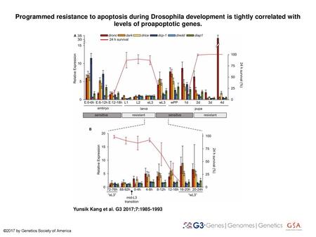 Programmed resistance to apoptosis during Drosophila development is tightly correlated with levels of proapoptotic genes. Programmed resistance to apoptosis.