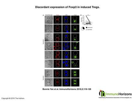 Discordant expression of Foxp3 in induced Tregs.