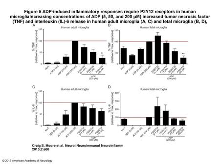 Figure 5 ADP-induced inflammatory responses require P2Y12 receptors in human microgliaIncreasing concentrations of ADP (5, 50, and 200 μM) increased tumor.