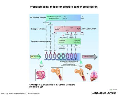 Proposed spiral model for prostate cancer progression.