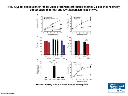 Fig. 4. Local application of FR provides prolonged protection against Gq-dependent airway constriction in normal and OVA-sensitized mice in vivo. Local.