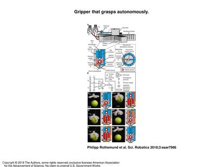 Gripper that grasps autonomously.