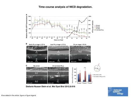 Time‐course analysis of NICD degradation.