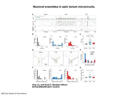 Neuronal ensembles in optic tectum microcircuits.