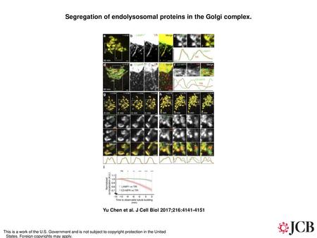 Segregation of endolysosomal proteins in the Golgi complex.