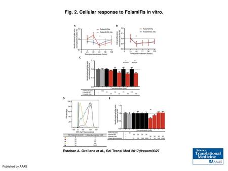 Fig. 2. Cellular response to FolamiRs in vitro.