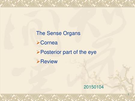 Posterior part of the eye Review