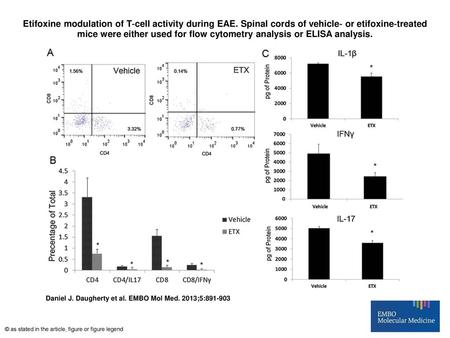 Etifoxine modulation of T‐cell activity during EAE