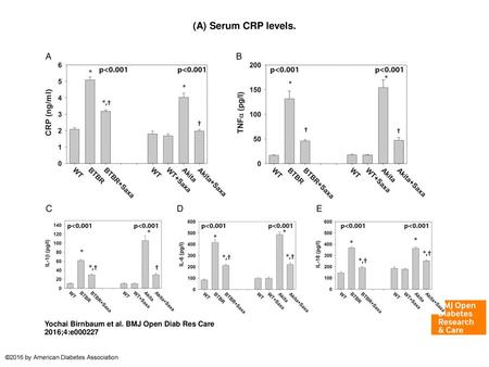 (A) Serum CRP levels. (A) Serum CRP levels. T2DM: n=6 per group. *p