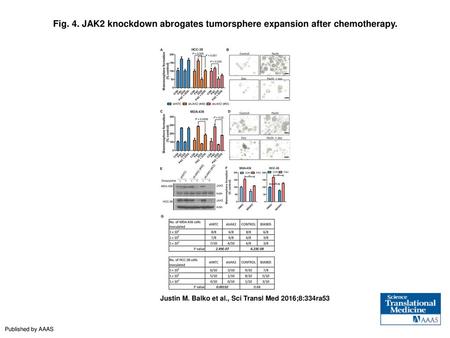 JAK2 knockdown abrogates tumorsphere expansion after chemotherapy