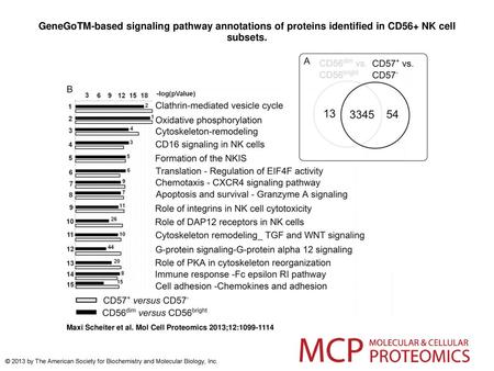 GeneGoTM-based signaling pathway annotations of proteins identified in CD56+ NK cell subsets. GeneGoTM-based signaling pathway annotations of proteins.