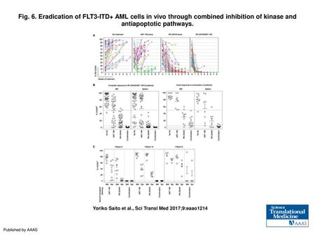 Fig. 6. Eradication of FLT3-ITD+ AML cells in vivo through combined inhibition of kinase and antiapoptotic pathways. Eradication of FLT3-ITD+ AML cells.