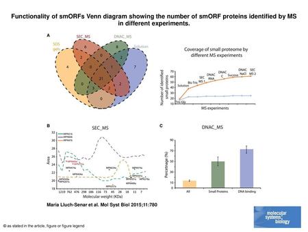 Functionality of smORFs Venn diagram showing the number of smORF proteins identified by MS in different experiments. Functionality of smORFs Venn diagram.