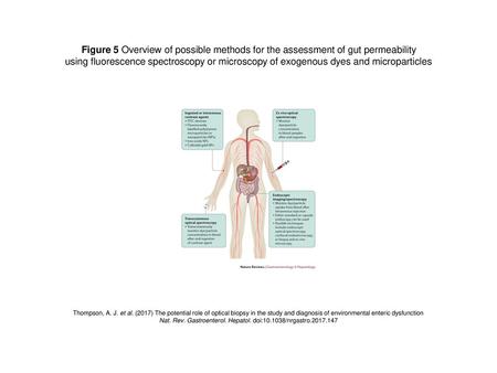 Nat. Rev. Gastroenterol. Hepatol. doi: /nrgastro