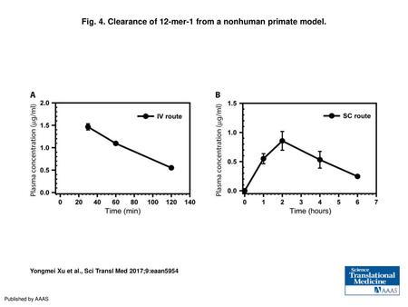 Fig. 4. Clearance of 12-mer-1 from a nonhuman primate model.