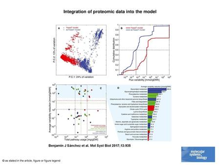 Integration of proteomic data into the model