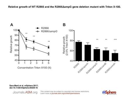 Relative growth of WT R2866 and the R2866ΔampG gene deletion mutant with Triton X-100. Relative growth of WT R2866 and the R2866ΔampG gene deletion mutant.