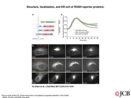 Structure, localization, and ER exit of RUSH reporter proteins.