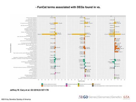 - FunCat terms associated with DEGs found in vs.