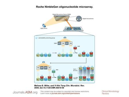 Roche NimbleGen oligonucleotide microarray.