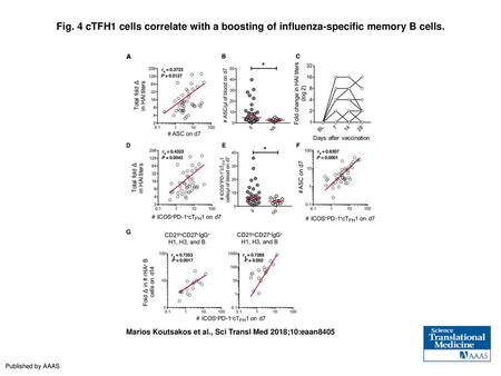 Fig. 4 cTFH1 cells correlate with a boosting of influenza-specific memory B cells. cTFH1 cells correlate with a boosting of influenza-specific memory B.