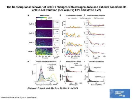 The transcriptional behavior of GREB1 changes with estrogen dose and exhibits considerable cell‐to‐cell variation (see also Fig EV2 and Movie EV2)‏ The.