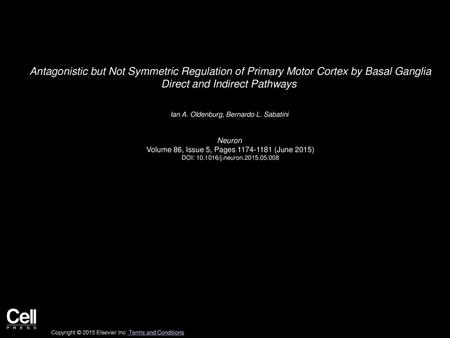 Antagonistic but Not Symmetric Regulation of Primary Motor Cortex by Basal Ganglia Direct and Indirect Pathways  Ian A. Oldenburg, Bernardo L. Sabatini 