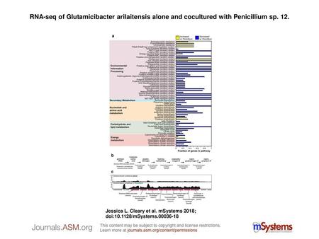 RNA-seq of Glutamicibacter arilaitensis alone and cocultured with Penicillium sp. 12. RNA-seq of Glutamicibacter arilaitensis alone and cocultured with.