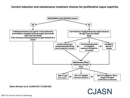 Current induction and maintenance treatment choices for proliferative lupus nephritis. Current induction and maintenance treatment choices for proliferative.