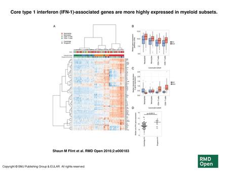 Core type 1 interferon (IFN-1)-associated genes are more highly expressed in myeloid subsets. Core type 1 interferon (IFN-1)-associated genes are more.