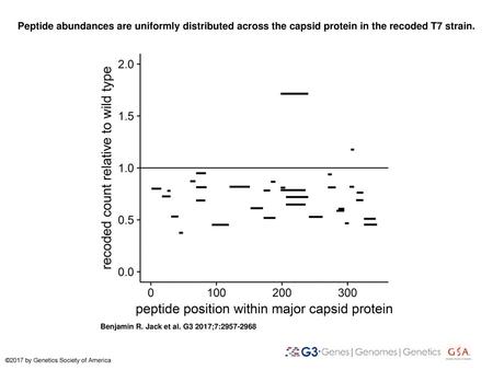 Peptide abundances are uniformly distributed across the capsid protein in the recoded T7 strain. Peptide abundances are uniformly distributed across the.