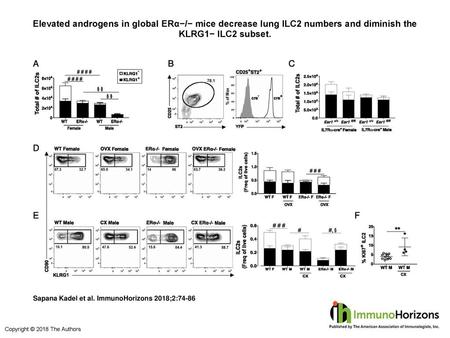 Elevated androgens in global ERα−/− mice decrease lung ILC2 numbers and diminish the KLRG1− ILC2 subset. Elevated androgens in global ERα−/− mice decrease.