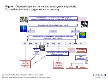 Figure 1 Diagnostic algorithm for cardiac transthyretin amyloidosis