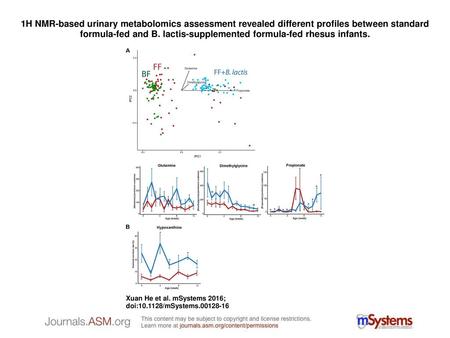 1H NMR-based urinary metabolomics assessment revealed different profiles between standard formula-fed and B. lactis-supplemented formula-fed rhesus infants.