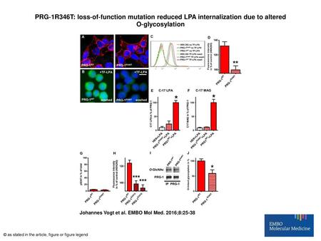 PRG‐1R346T: loss‐of‐function mutation reduced LPA internalization due to altered O‐glycosylation PRG‐1R346T: loss‐of‐function mutation reduced LPA internalization.