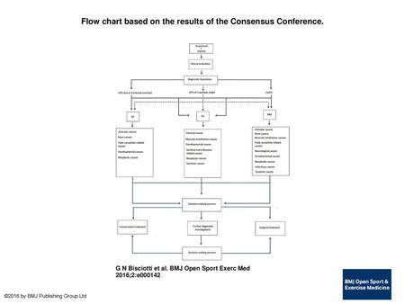 Flow chart based on the results of the Consensus Conference.