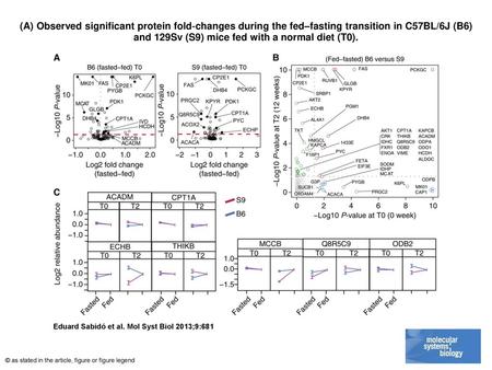 (A) Observed significant protein fold‐changes during the fed–fasting transition in C57BL/6J (B6) and 129Sv (S9) mice fed with a normal diet (T0). (A) Observed.