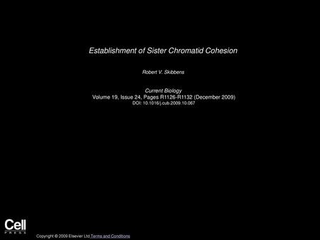 Establishment of Sister Chromatid Cohesion