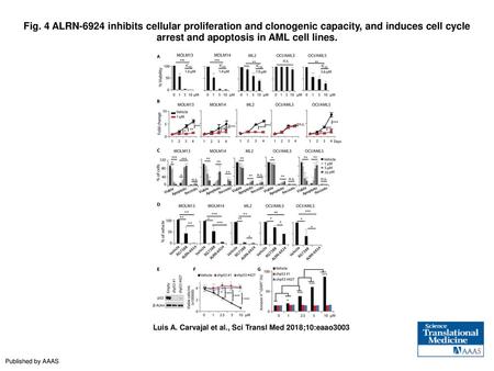 Fig. 4 ALRN-6924 inhibits cellular proliferation and clonogenic capacity, and induces cell cycle arrest and apoptosis in AML cell lines. ALRN-6924 inhibits.