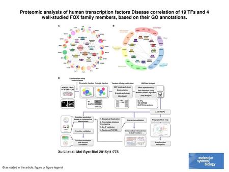 Proteomic analysis of human transcription factors Disease correlation of 19 TFs and 4 well‐studied FOX family members, based on their GO annotations. Proteomic.