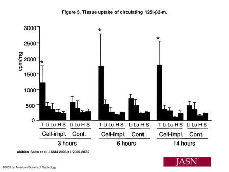 Figure 5. Tissue uptake of circulating 125I-β2-m.