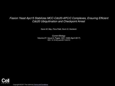 Fission Yeast Apc15 Stabilizes MCC-Cdc20-APC/C Complexes, Ensuring Efficient Cdc20 Ubiquitination and Checkpoint Arrest  Karen M. May, Flora Paldi, Kevin.