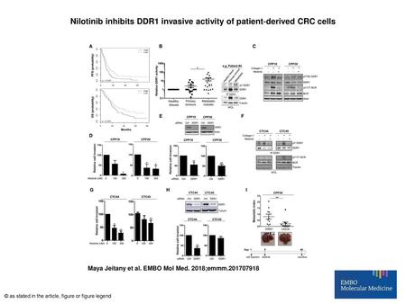 Nilotinib inhibits DDR1 invasive activity of patient‐derived CRC cells