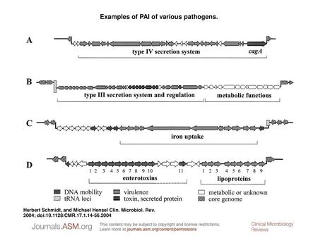 Examples of PAI of various pathogens.