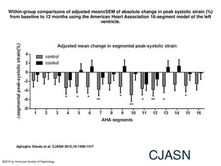 Within-group comparisons of adjusted mean±SEM of absolute change in peak systolic strain (%) from baseline to 12 months using the American Heart Association.