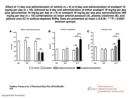 Effect of 11-day oral administration of vehicle (n = 4) or 6-day oral administration of enalapril 10 mg/kg per day (n = 19), followed by 5-day oral administration.