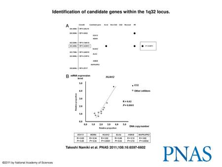 Identification of candidate genes within the 1q32 locus.