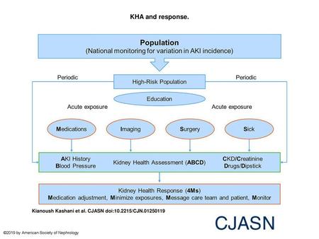 KHA and response. KHA and response. KHA includes AKI history, BP, CKD, serum Creatinine level, Drug list, and urine Dipstick (ABCD). Exposures include.