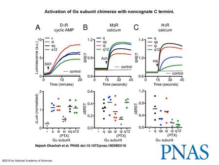 Activation of Gα subunit chimeras with noncognate C termini.