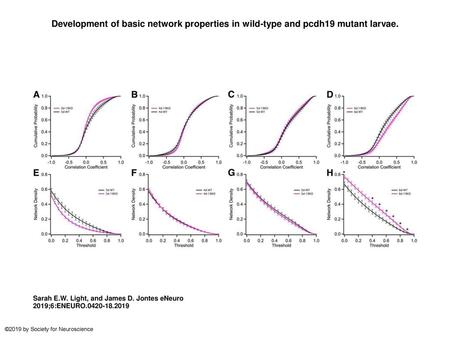 Development of basic network properties in wild-type and pcdh19 mutant larvae. Development of basic network properties in wild-type and pcdh19 mutant larvae.